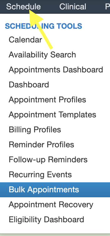 Schedule_Bulk_Appointments.png