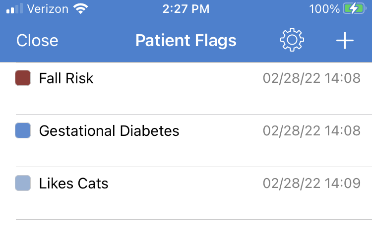 Patient_Flags.PNG